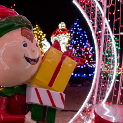 Home of the World Championships | Circuit of The Americas